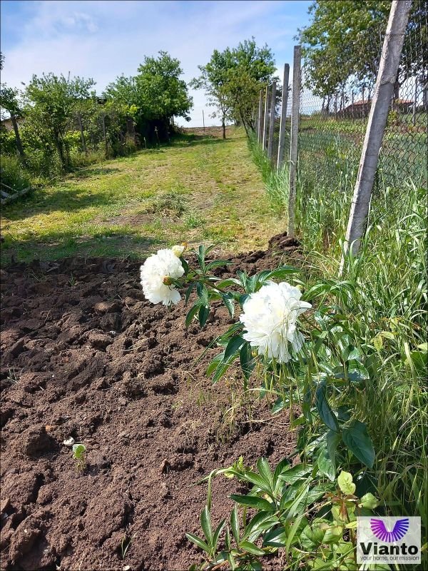 2a18b59b9797436f9618576ad82eb66b-1