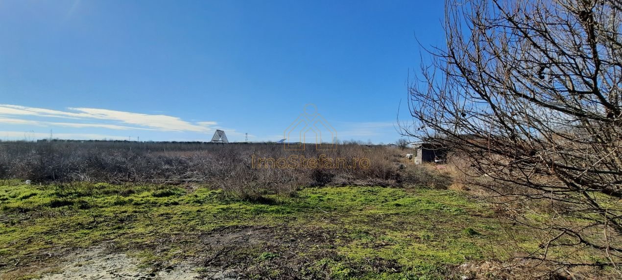 428aea8024124991915865921fdb3f10