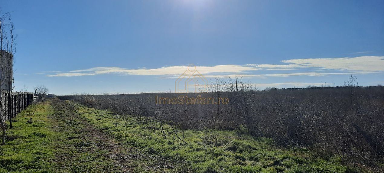 47c25cba23ce434f88b413a8077786cd