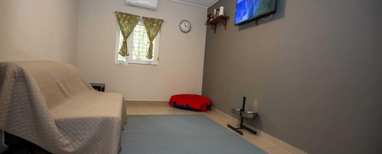 Camera-Caine-VIP_R-scaled-1315×530