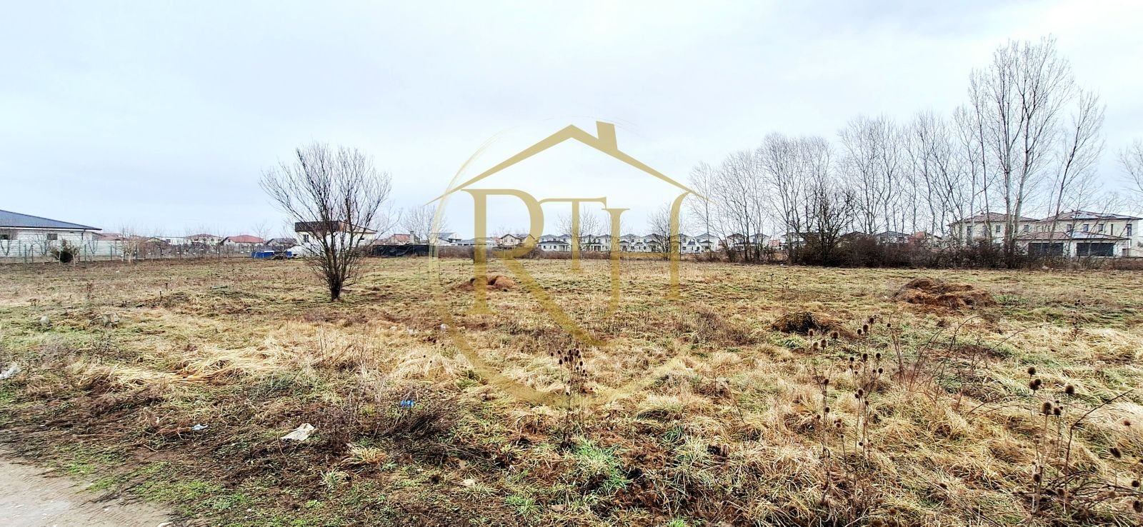 20093c9134f3446684d7e7855bb3656a