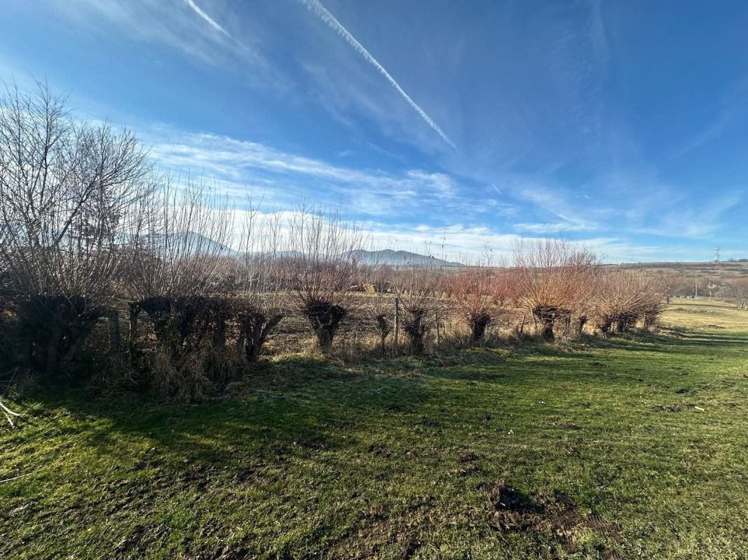 292767efab1a4872aae728f4042202d1