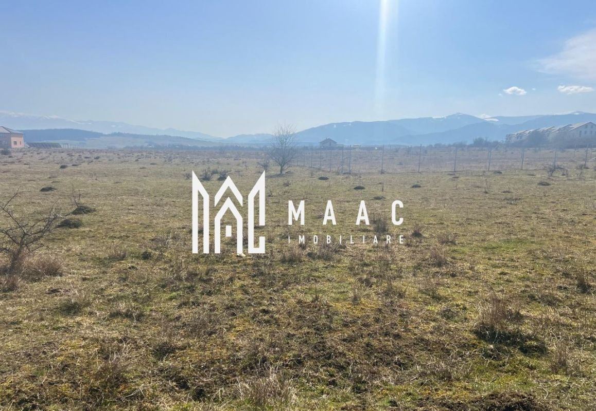 51f6bbd4b50141878ee63bcccd11496f-1