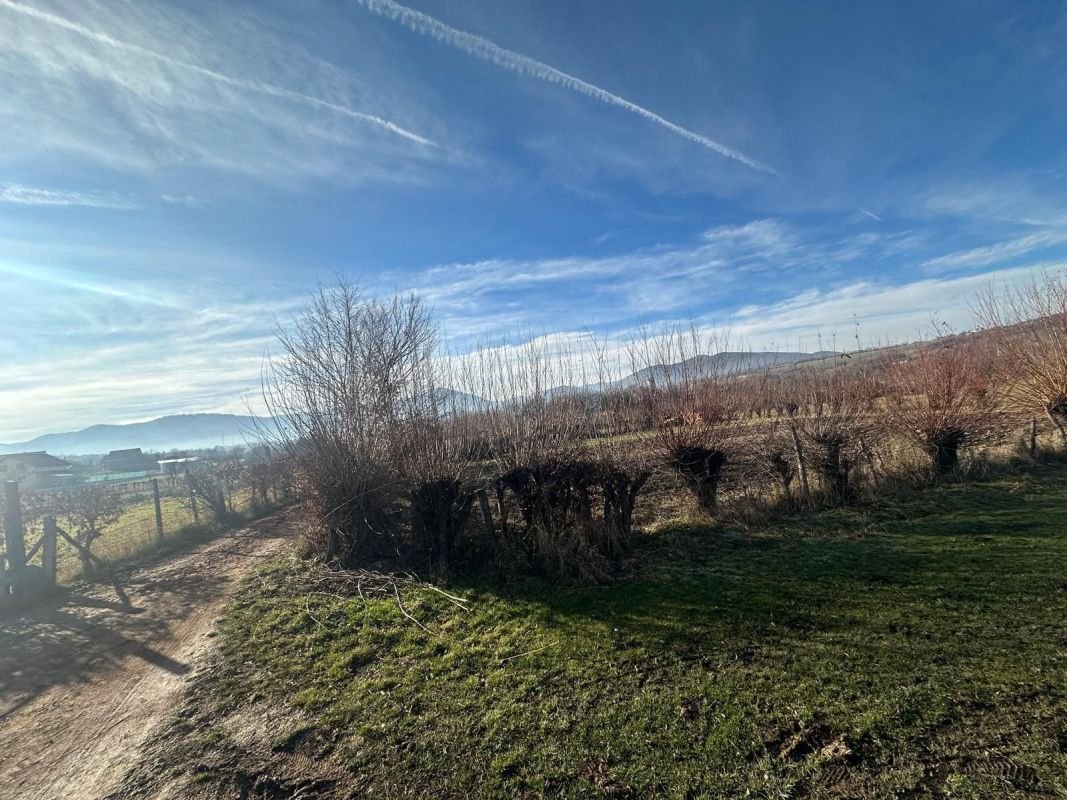 53ff4b3bb49d482b901bddb171dcf30e