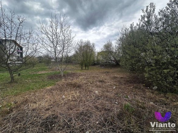 TEREN INTRAVILAN 2089 MPU – NEPPENDORF – TURNISOR