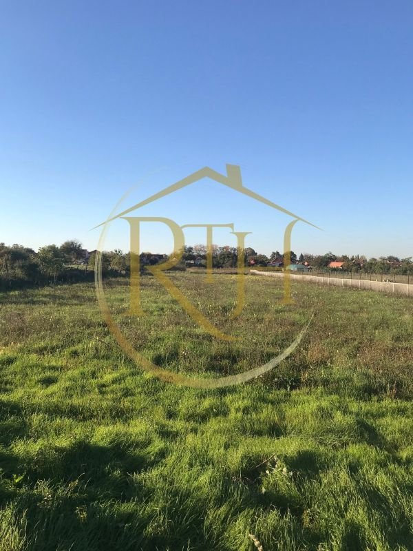 79f96ca8c04f4c2cb0295689205cc281