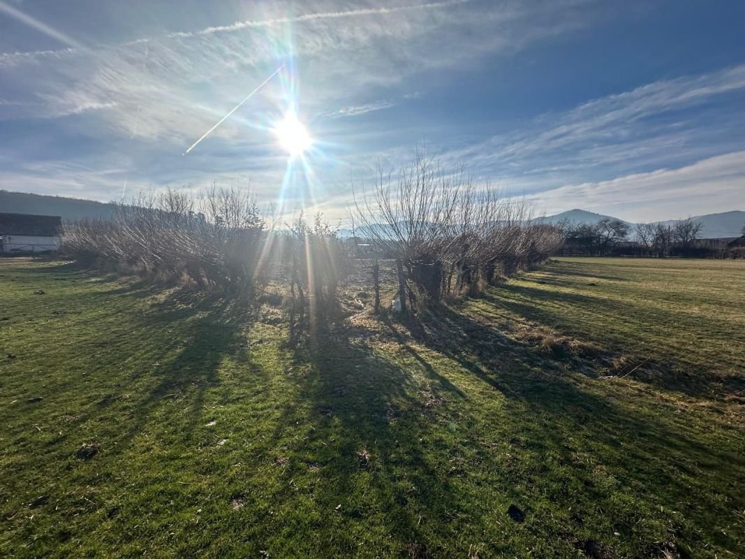 88a880c377d047af854e73544d1f17f0