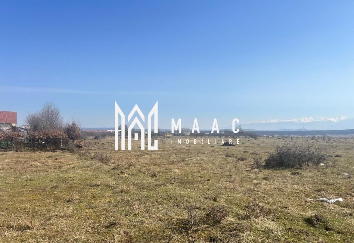 9064d09b901f4ac8a0393d4c24555a41-1