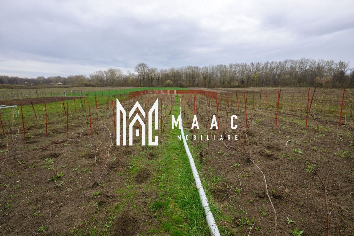 9a8975ee5ef745339bbf803dcc8c8e92