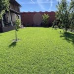 Casa eleganta si luminoasa,situata in zona de case -Mehala