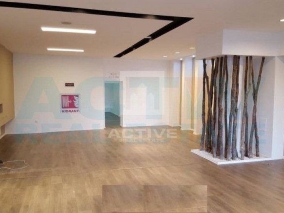 Spatiu Zorilor pt showroom