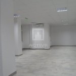 Spatiu comercial vad , zona Expo