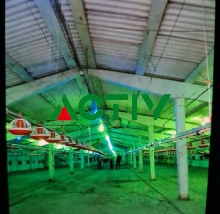 Spațiu industrial Gilau