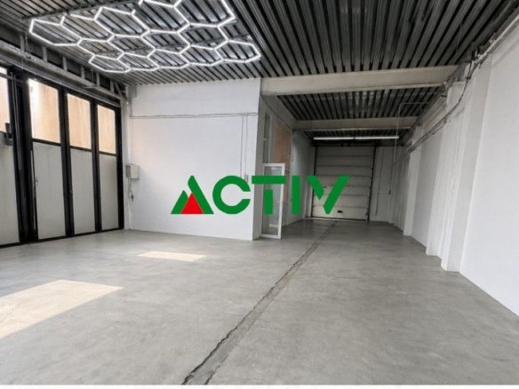 Showroom / hala depozitare str. Plevnei