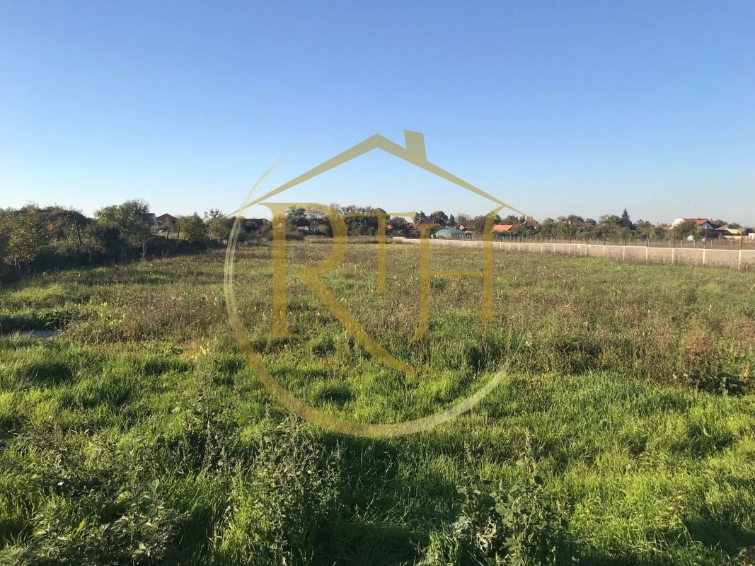 cf59fc9184f44de5a4c554f8dfbd21bf