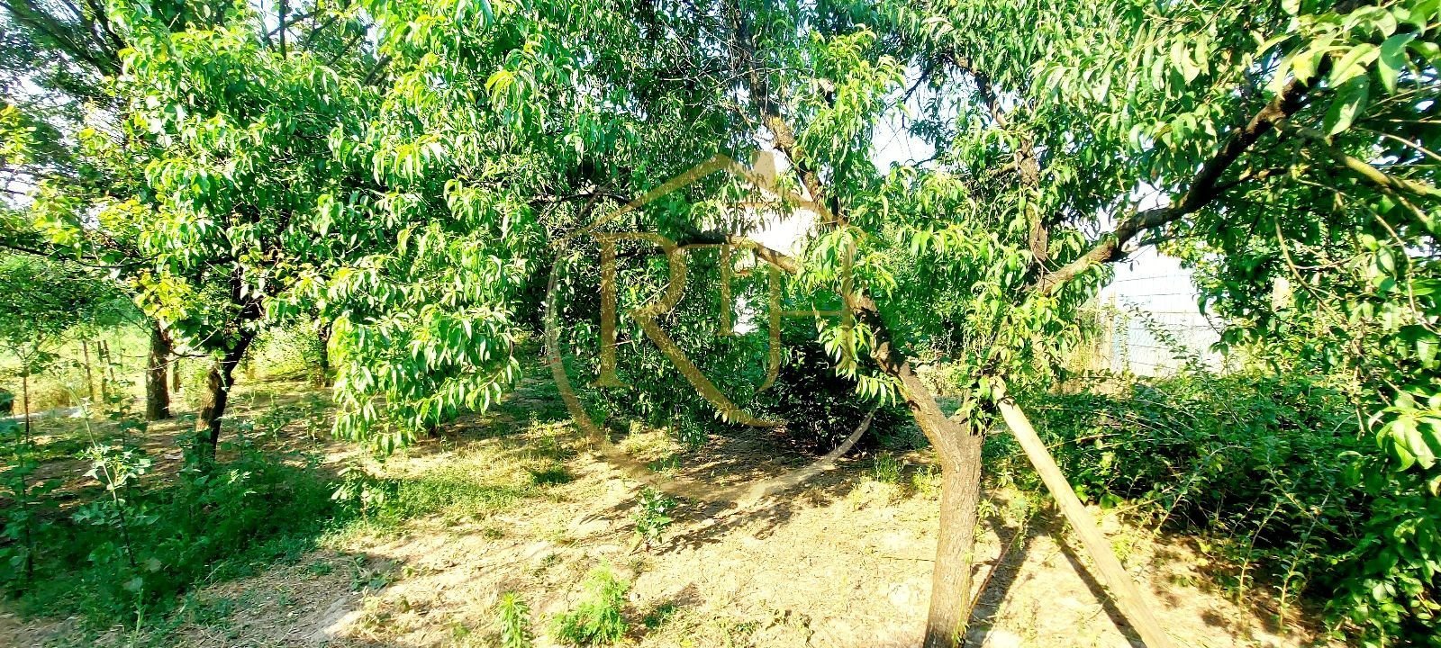 d6f11ad8c09a4deaa084730f682cfa10