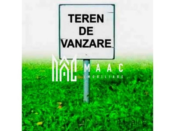 Teren Intravilan | 6000 mp | Turnisor