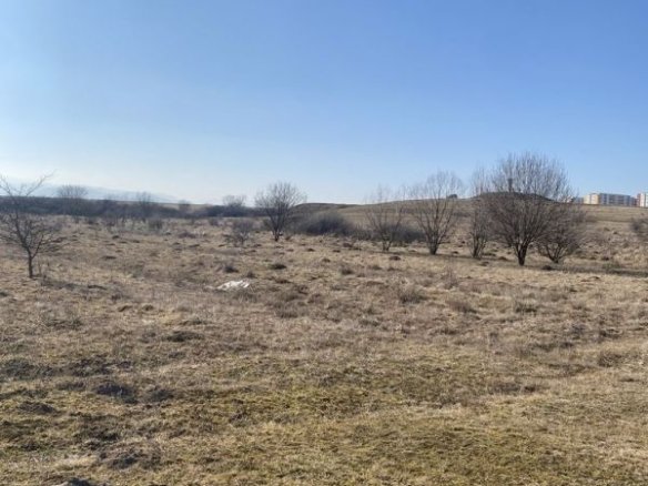 TEREN 1000 MP | ZONA SELIMBAR TROITA