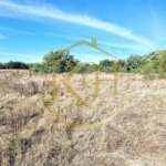 Teren de vânzare – 11.273 mp – zona Plopi, Timișoara Sud.