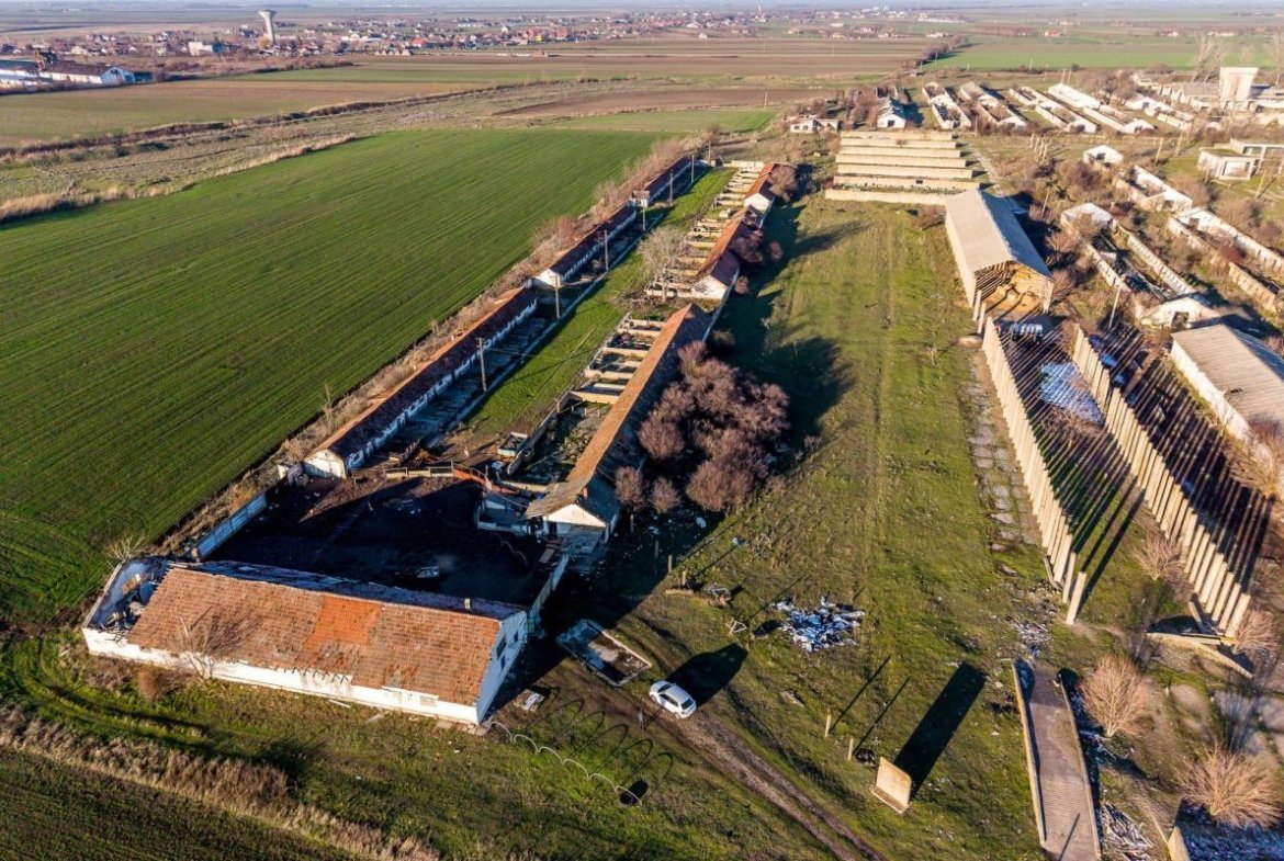 NĂDLAC | Teren 1.15 HA lângă Autostradă | 2.500mp Hale