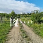 Teren intravilan de vânzare Daia Nouă | 1000 mp | Ideal pentru construcție