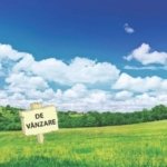 De vanzare 8 ha teren arabil extravilan Branistea, 11.000euro/ha negociabil