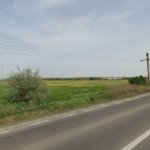 Teren intravilan pentru hale industriale / logistică – Varianta Constanța–Ovidiu