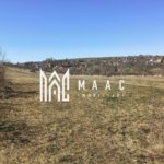Teren | Intravilan | 400 MPU | Daia