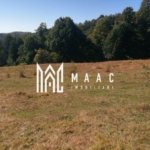 Teren Extravilan 20.000Mp I Stoenești -Vâlcea I Apă Curentă și Pădure