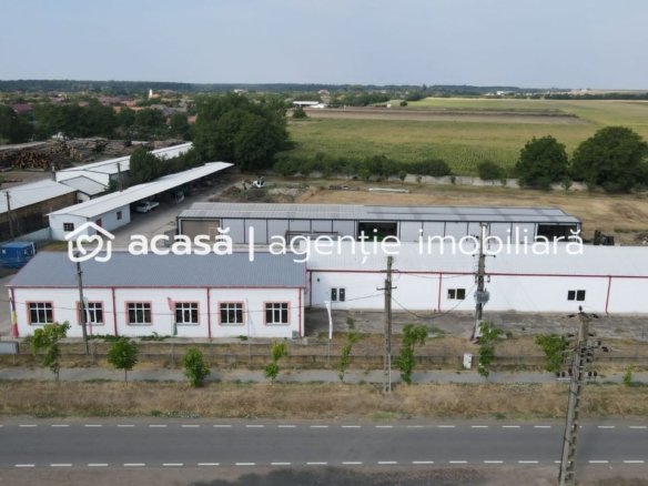 Hale depozitare/producție 2.000 mp si 10.000 mp teren în Pecica
