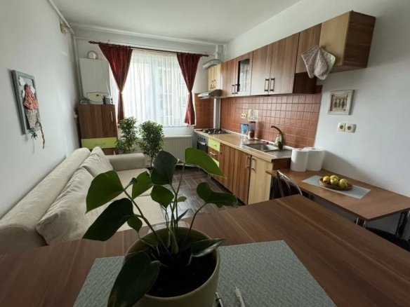 Apartament 2 camere Turnisor