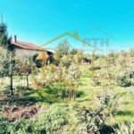 Parcela de teren, ideala pentru casa, sp 1300 mp, utilitati