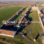 NĂDLAC | Teren 1.15 HA lângă Autostradă | 2.500mp Hale