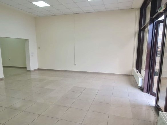 SPATIU COMERCIAL PARTER 2 CAMERE 130 MPU | NEPPENDORF TURNISOR