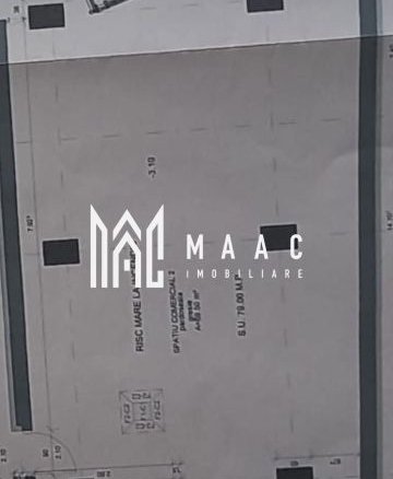 Spațiu comercial | 79MPU | Vad Pietonal | Turnisor