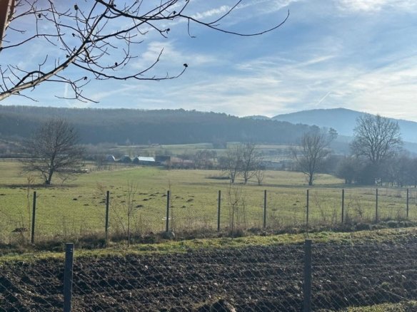 TEREN INTRAVILAN 1080 MP IN RASINARI