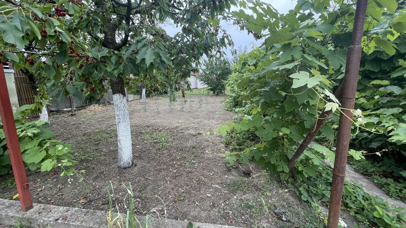 Casa cu teren de 915 mp și front de 20 ml