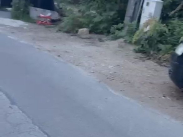 Ciolpani teren intravila 2500 mp de vanzare