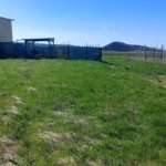 Teren extravilan 1500mp – Poplaca
