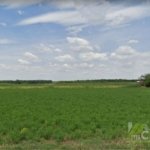 🌐 Teren extravilan – oportunitate strategică de investiție | Galați