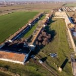 PREȚ REDUS! Ferma de 1.15 HA lângă accesul pe Autostrada A1– Nădlac