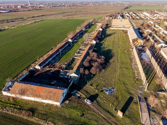 PREȚ REDUS! Ferma de 1.15 HA lângă accesul pe Autostrada A1– Nădlac