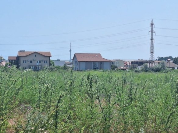 OCAZIE !EFORIE NORD TEREN DE 1.666 MP PRET 199.000 EURO