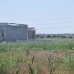 OCAZIE !EFORIE NORD TEREN DE 1.666 MP PRET 199.000 EURO
