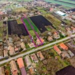 Casă în Dorobanți cu livadă + curte 2500 mp