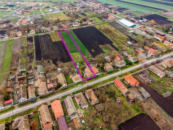 Casă în Dorobanți cu livadă + curte 2500 mp