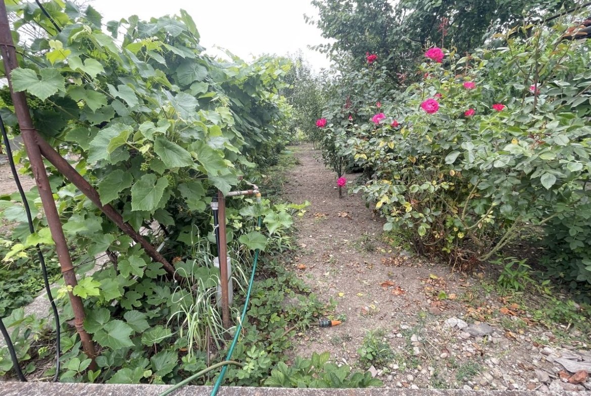 Casa cu teren de 915 mp și front de 20 ml