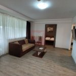2 camere, intim, semineu, Silver Mountain