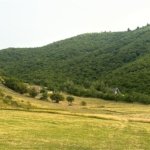 Oportunitate Teren Pt Investitie 3408mp in Gura Raului