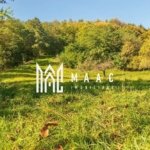 Teren | Intravilan | 2439 MPU | Fântânele